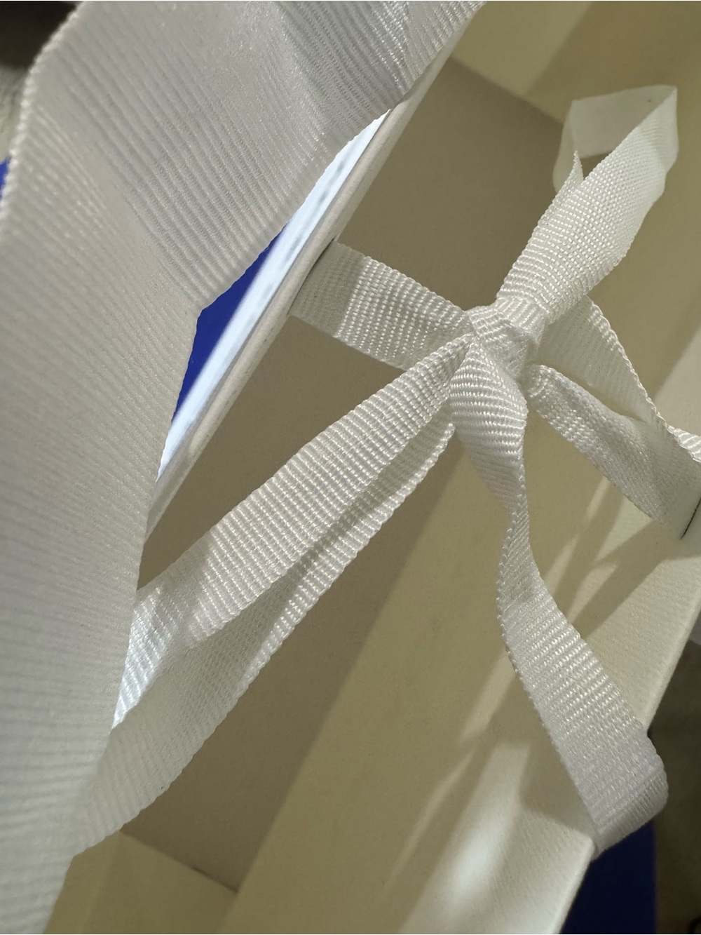 Dolce & Gabbana 💯% Authentic Iconic White Shopping/gift paper Bag w/ inner ties - Picture 5 of 6